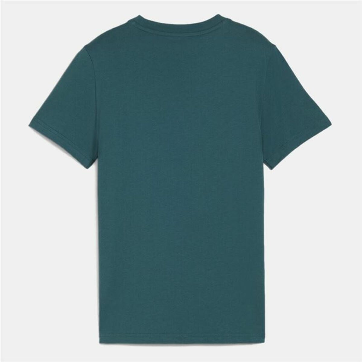 V4H111083FE28035883619D696A3EF96341R5464314P2