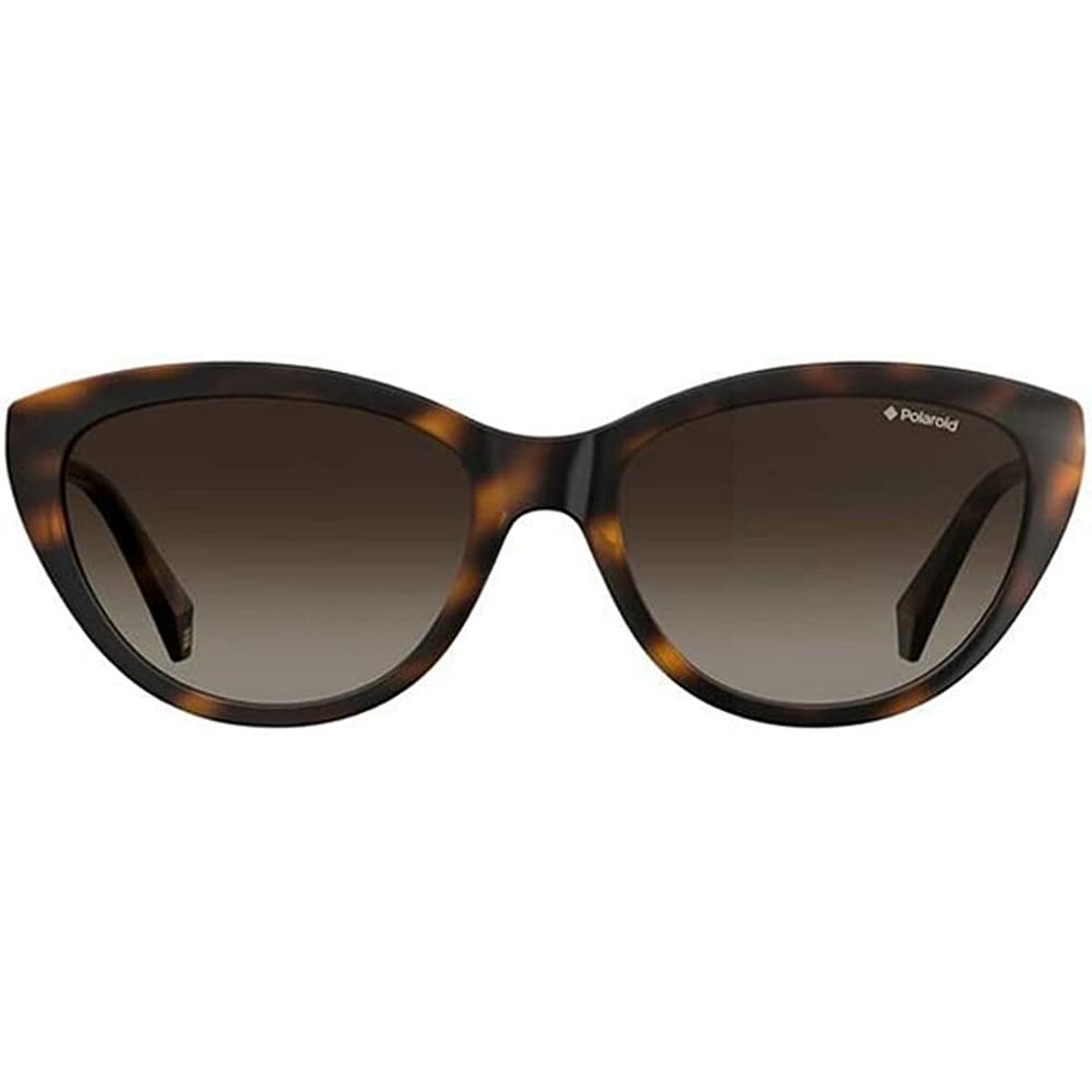 V6H1B0B766DE9E6F8BE0B6AD0692D5C71B4R3246566P2