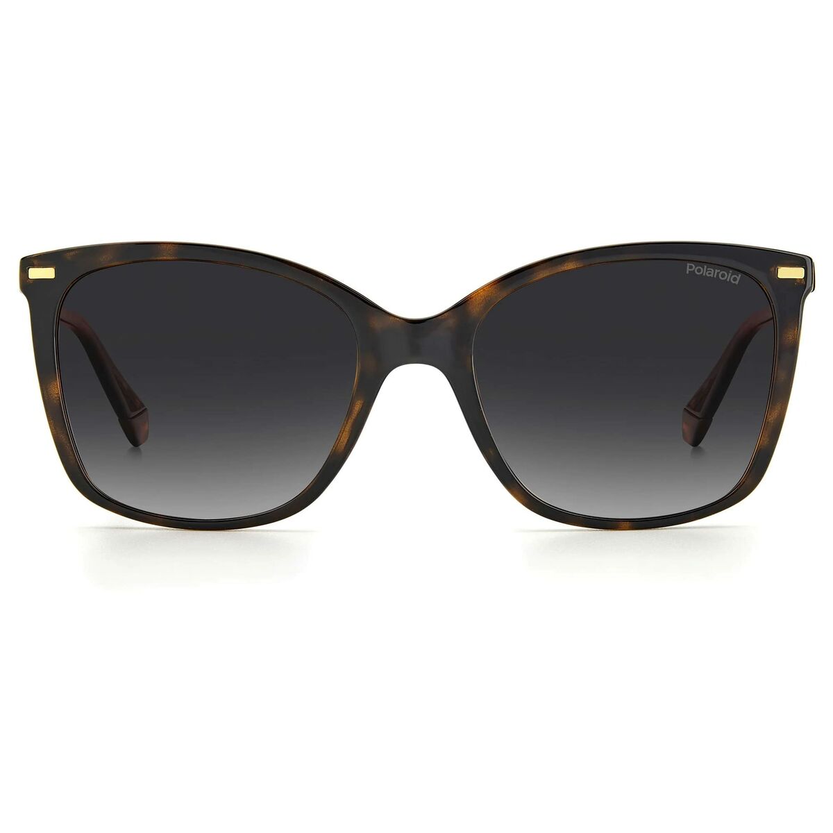 V2H92812F212373CA80535557E4A62F56FCR5759762P4