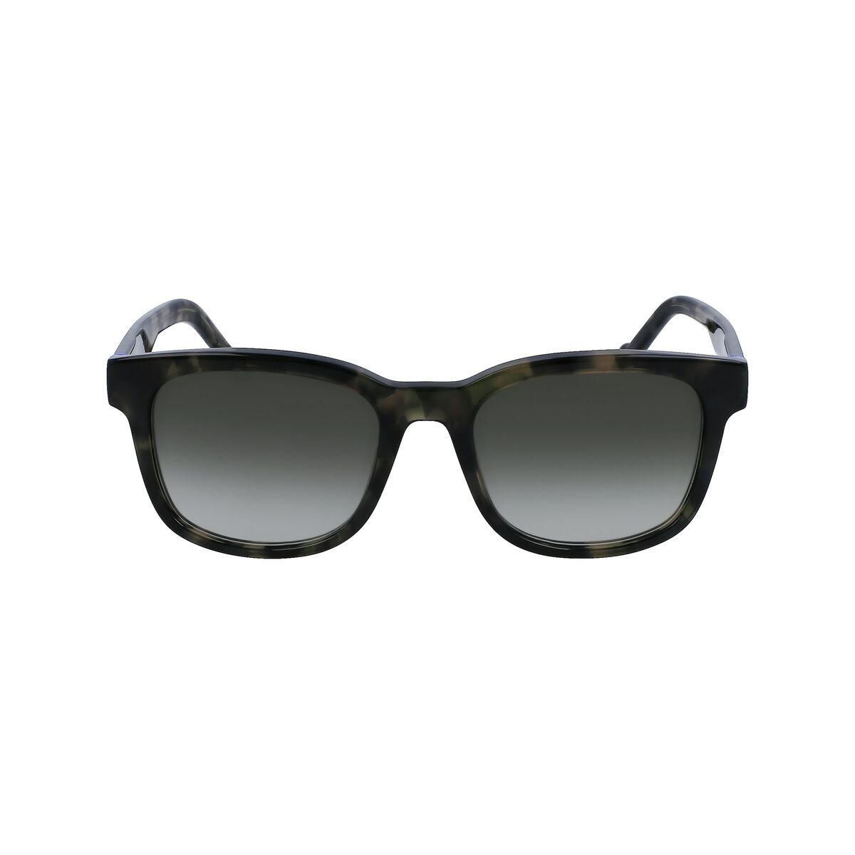 V3H55B24E29D46E2A118D97F079BDD8E2ADR5587963P2