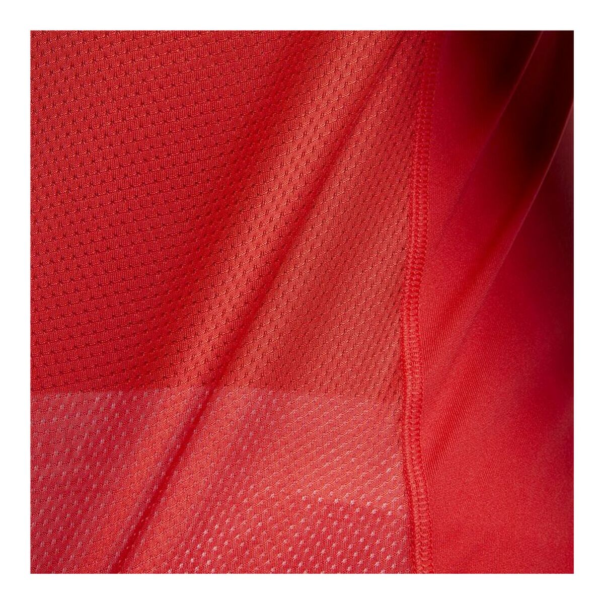 V10HF01C4EE31354E41536CA58BABE89E3EER3643381P2