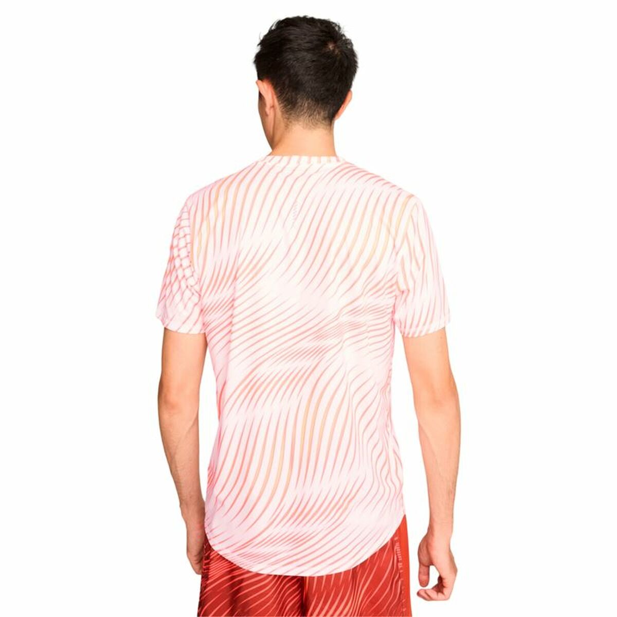 V4H93263306EAFF012B4A6EF61A1909BD57R5459310P2