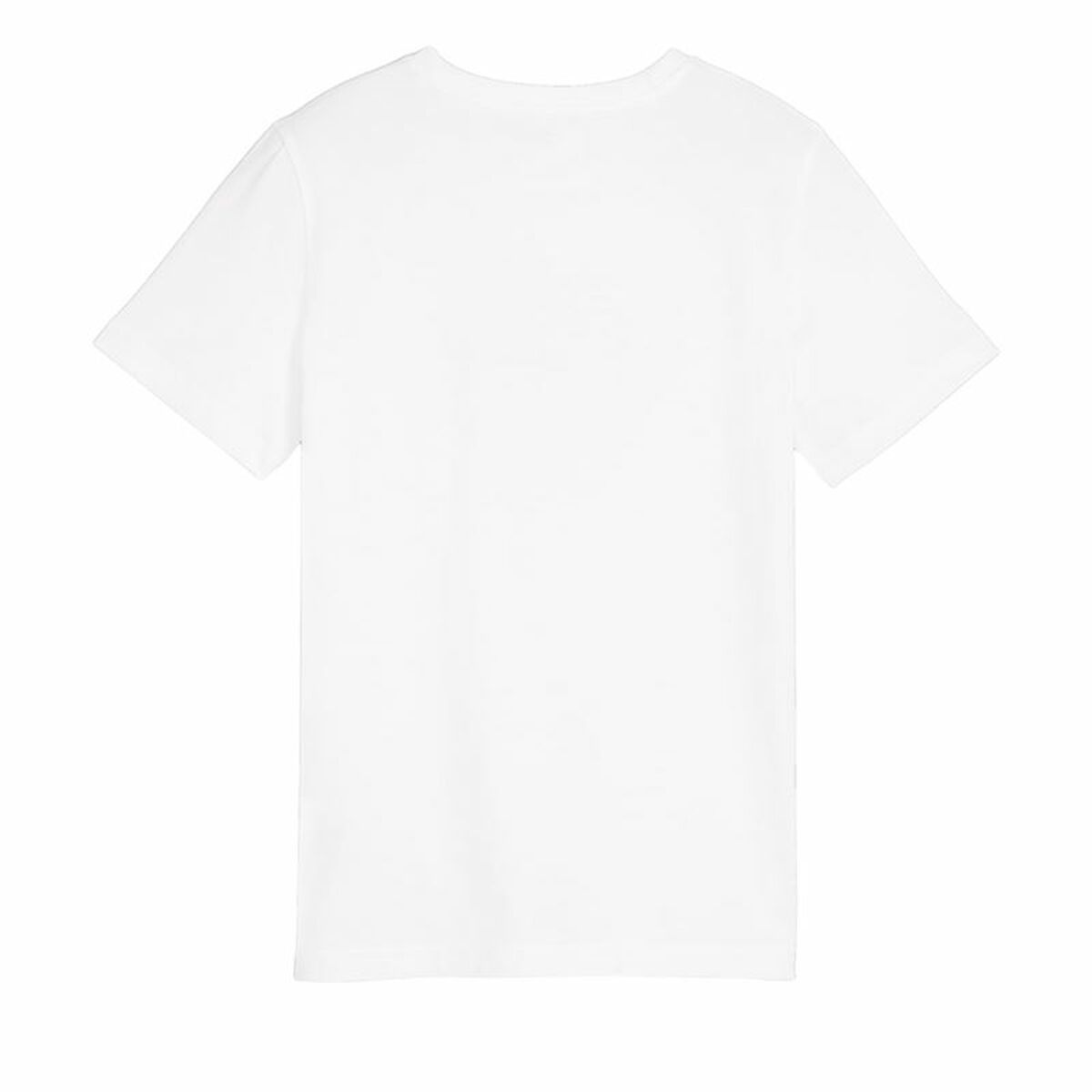 V4HDCFC96FFCC956957FCDEC1B59F5B1FCFR4660805P2