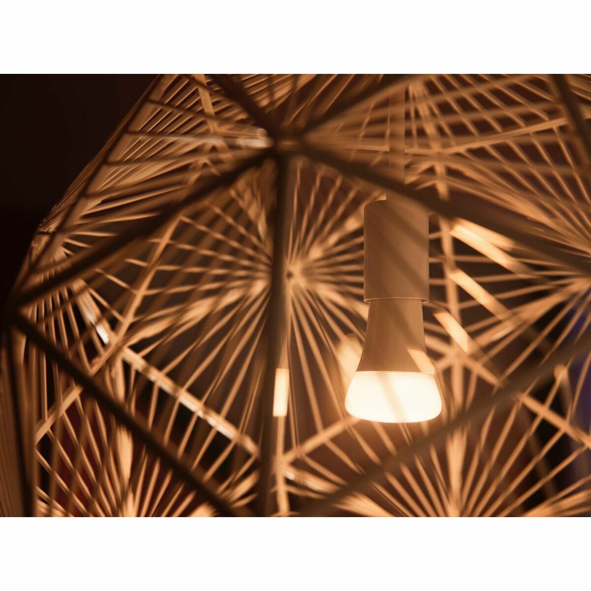 V5H179833058A01FA6F8F5EE8E34C478AA4R3622664P8