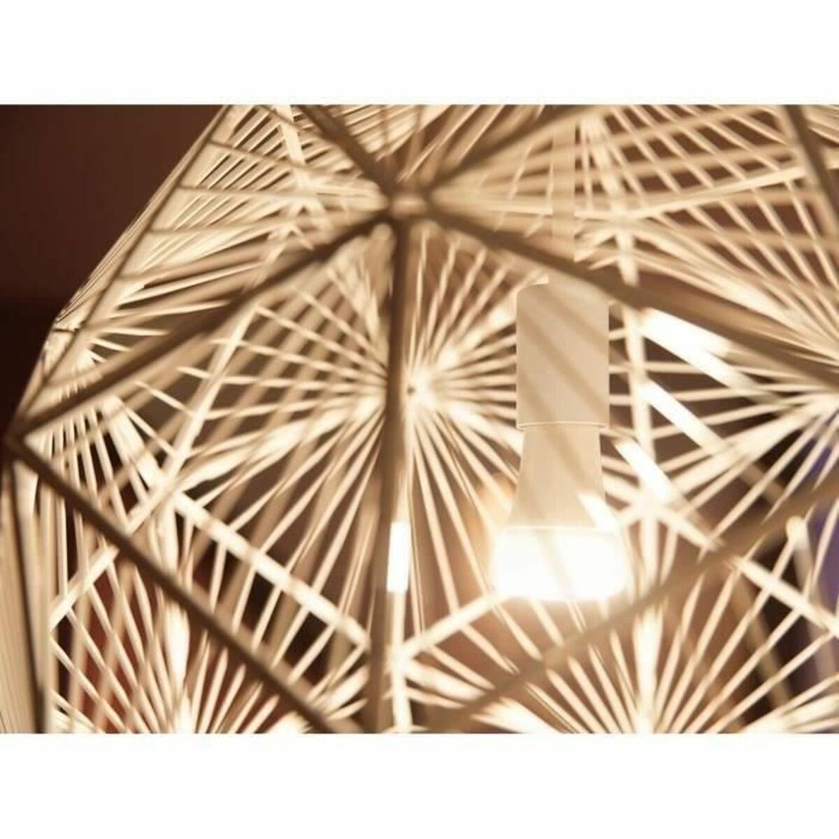 V8H77B462D32039A71F24278D8B27CD5348R3585367P7